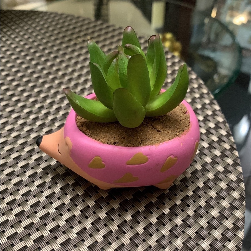 Tiny ceramic succulent hedgehog